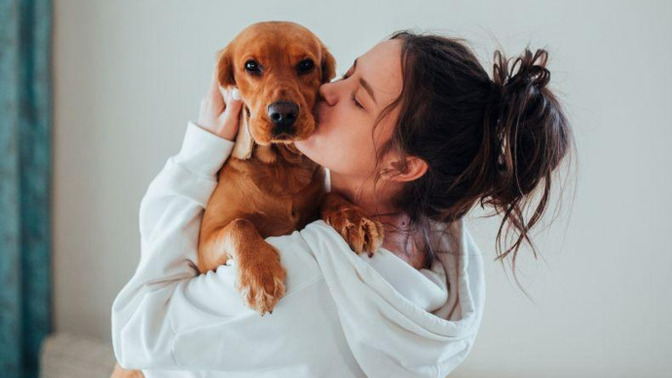 Ladies, what can your dog do that your husband just can’t?