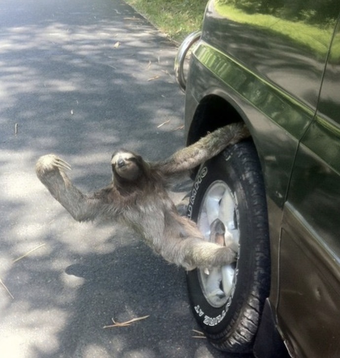 Why do guys obsess over boring topics like tires for so long?