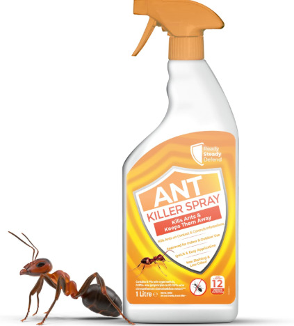 If you could talk to ants, would you befriend one and what would you do together?