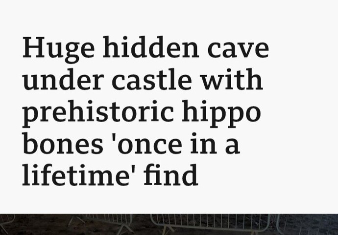 What news story would you read?