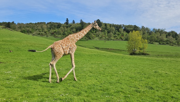 What are your plans for this beautiful spring weekend?