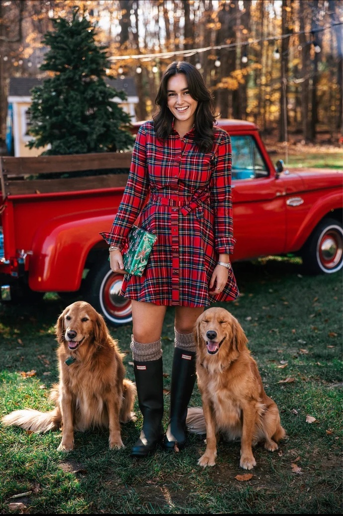 Which of these dresses is best for a dinner party of friends and relatives?
