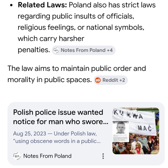 Is it true that in some EU countries now you can get fined for public swearing or badmouthing public figures/religion?