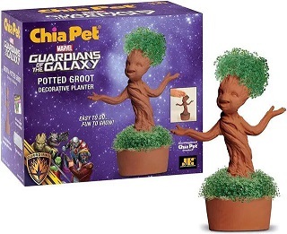 Actual image of Groot, Chia Pet like the one Random didnt eat