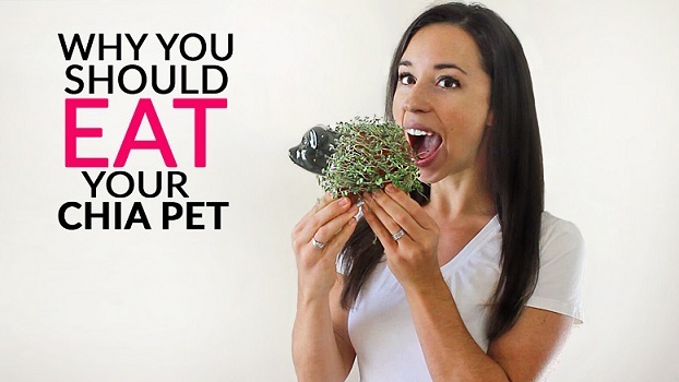 Actual image of why you should eat your Chia Pet