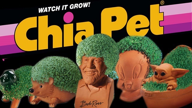 Actual image of many Chia Pets to choose from