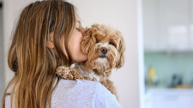Do you like dogs and why are they your favorite pets?