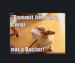 Dammit Jim! Im a _______ not a _______. Fill in the blanks?