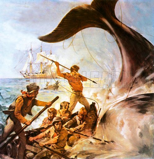 Is the SPLC like Greenpeace paying poachers to kill whales?