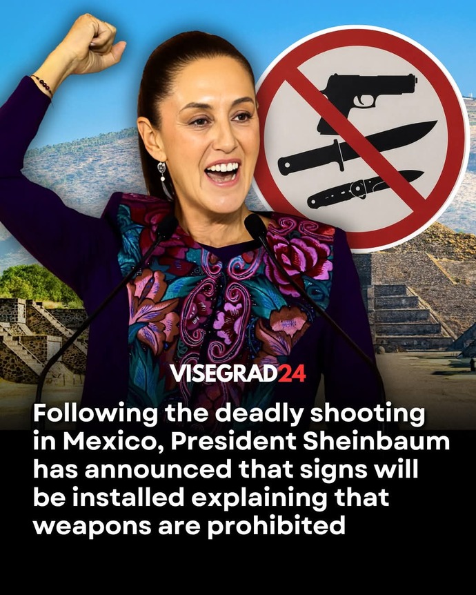 If gun-free zones work, why won’t MAGA supporters accept it?