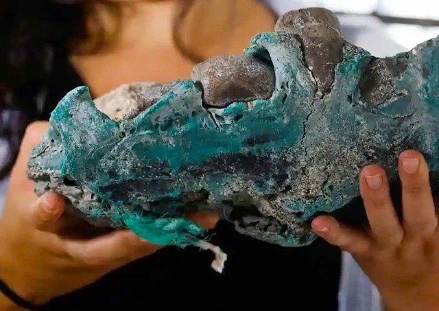 Are you a little annoyed plastic has been added to the fossil record?