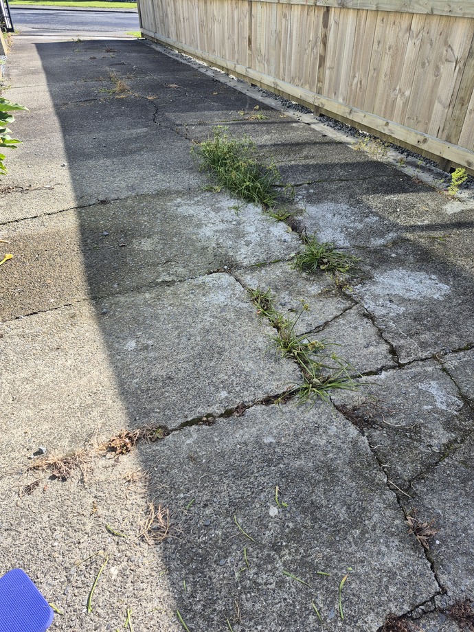 What is the most hated outdoor chore?