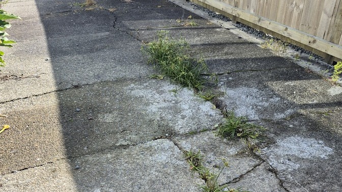 What is the most hated outdoor chore?