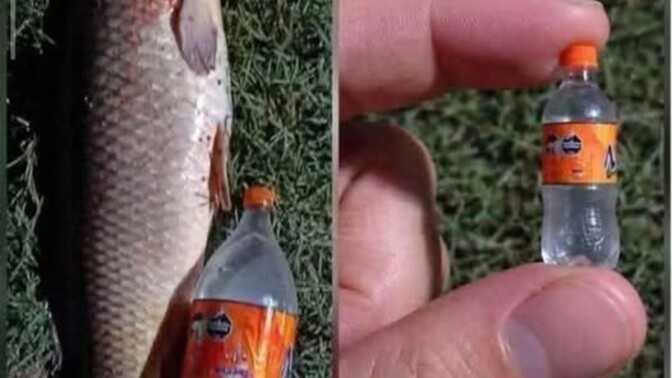 Have you ever put a miniature next to something to make it look bigger?