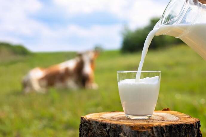 The last thing you drank you now have a lifetime supply of. What did you last take a drink of?