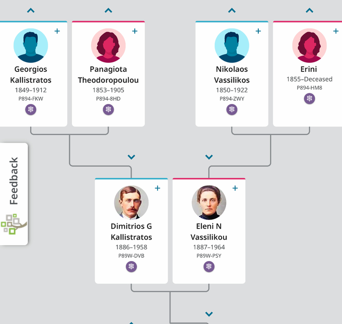 Where were these people at the top of the tree from?