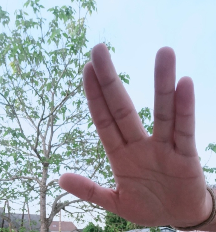 Can YOU do the Vulcan salute?