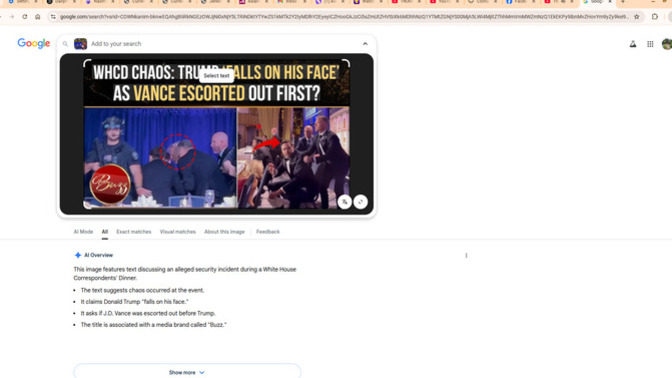Why did Secret Service tackle VP Vance before Trump during the incident?