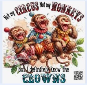 Is your life a circus?