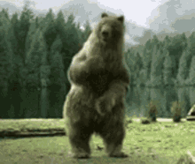 Guys : Would you rather be described as a Snuggly Bear or a Rigid Refrigerator?