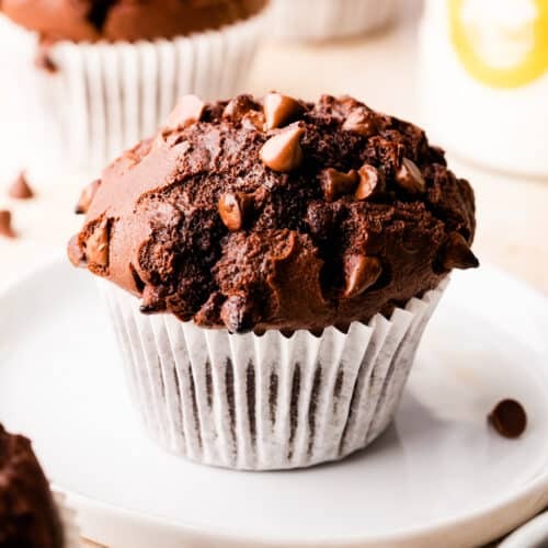 Do you like chocolate muffins/cupcakes?