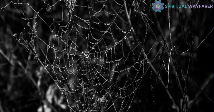 Ever accidentally walked into a spider web and felt super creeped out?