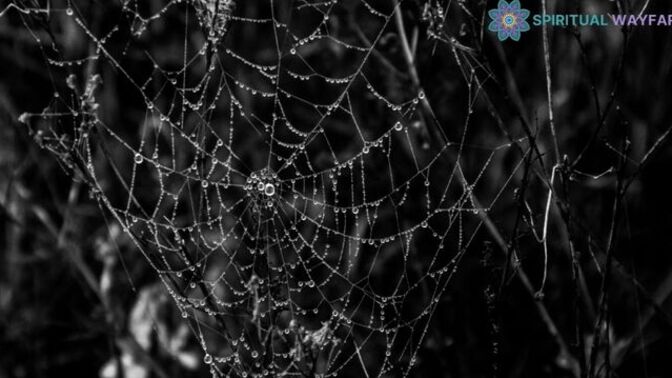 Ever accidentally walked into a spider web and felt super creeped out?