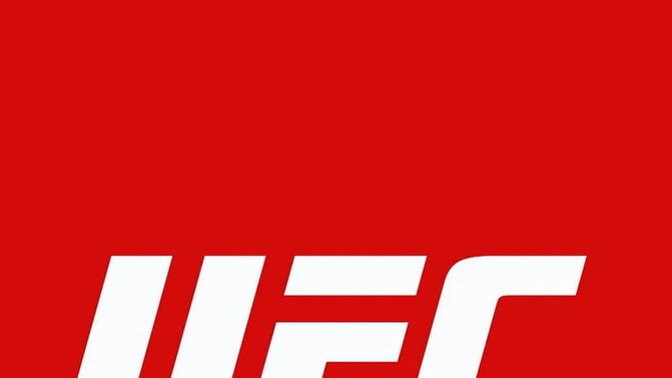 Who wins this UFC bout at the White House at UFC freedom 250?