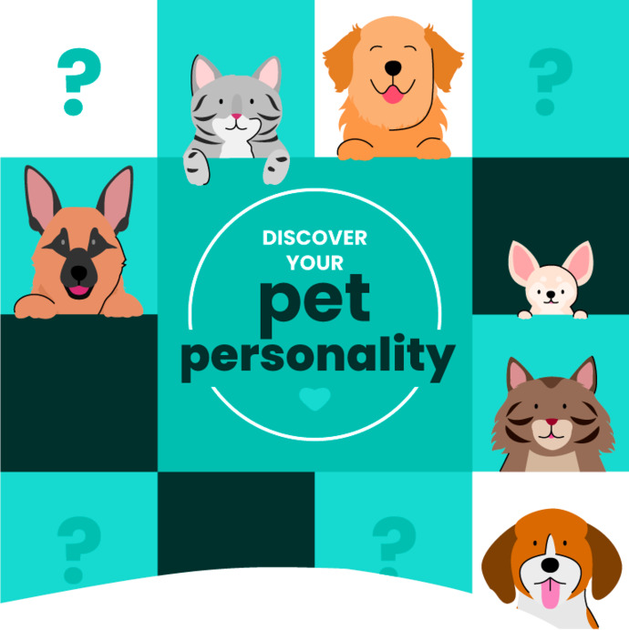 To those with pets how would you describe their personalities?