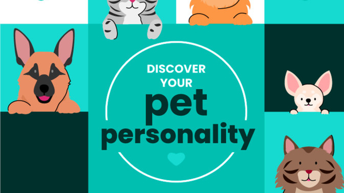 To those with pets how would you describe their personalities?