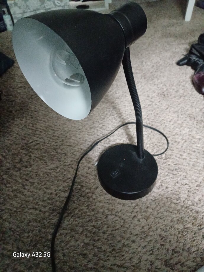 Which lamp is better to you personaly?