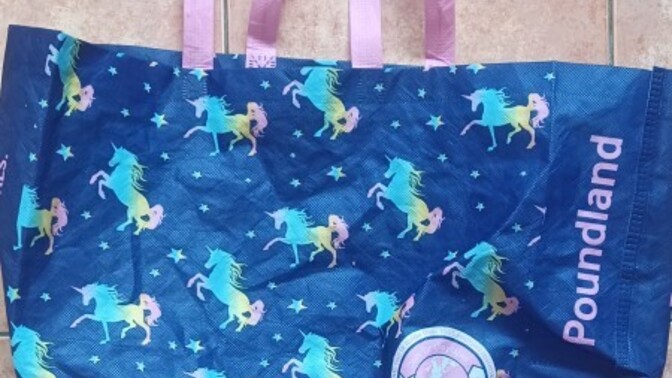 Would you take this bag shopping?