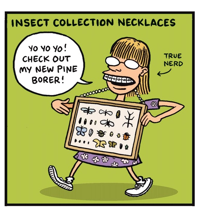 What in your opinion is THE nerdiest hobby one can partake in?
