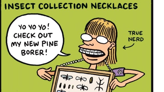 What in your opinion is THE nerdiest hobby one can partake in?