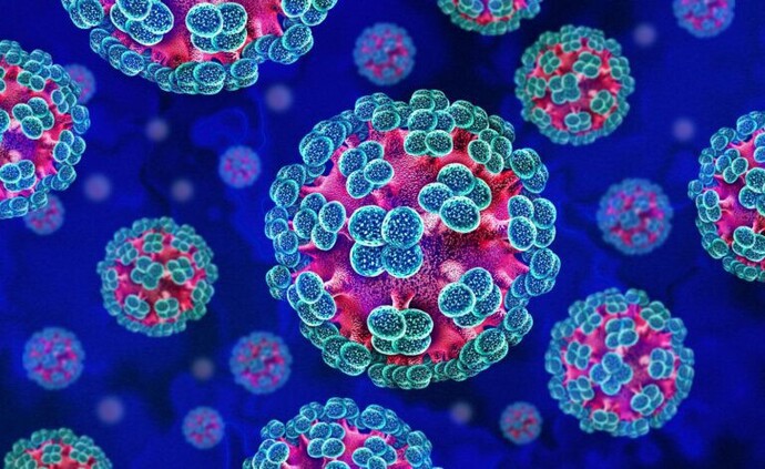 Should the Hantavirus cruise ship have been torpedoed?