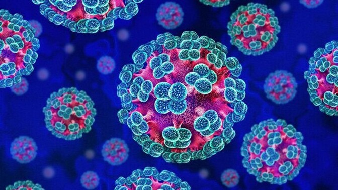 Should the Hantavirus cruise ship have been torpedoed?