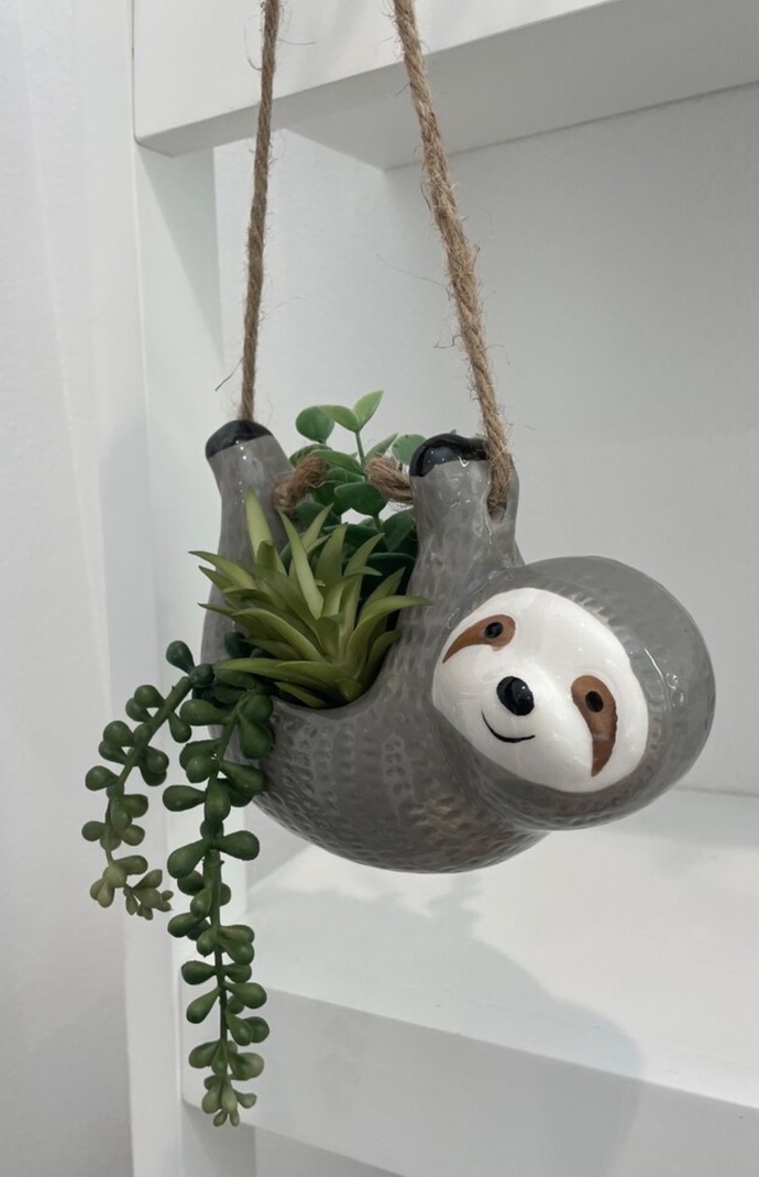 What are the best hanging plants for a fully shaded patio?