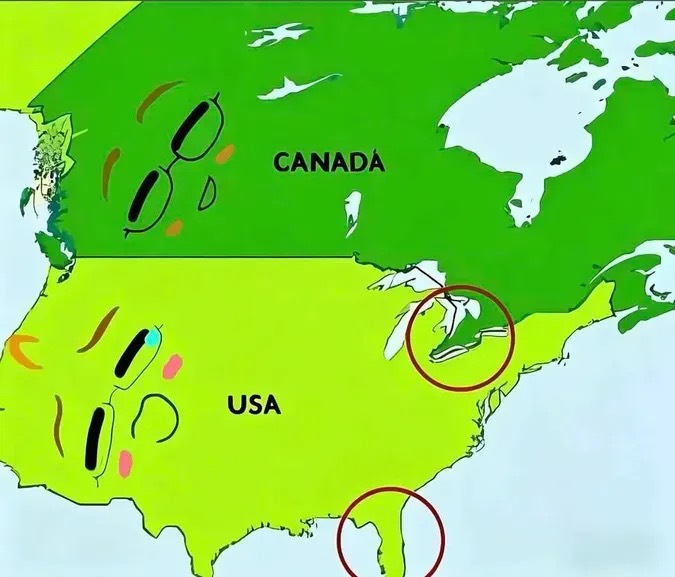 Is the United States a gay nation?