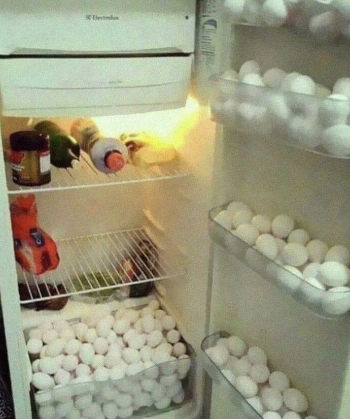 Is my current fridge setup normal for an average 26-year-old guy?