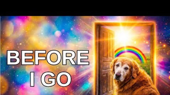What do you think of this song, and have you ever lost a dog?
