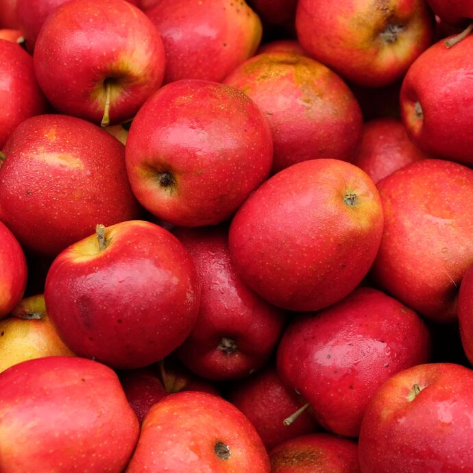 The last fruit you ate you now have a lifetime supply of. what fruit did you last eat?