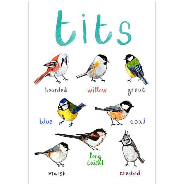 What is your favorite of these Tits and Boobies?
