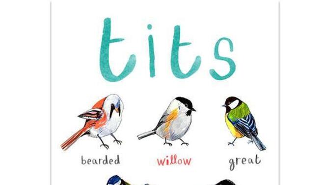 What is your favorite of these Tits and Boobies?