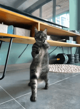 How physically flexible are you?