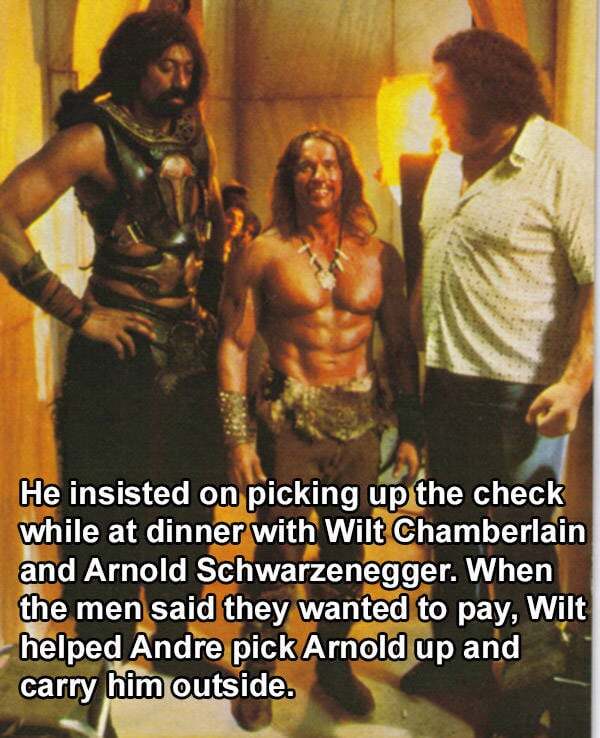 If YOU were having dinner with Andre the Giant and he says ‘I pay’ would you try to stop him?
