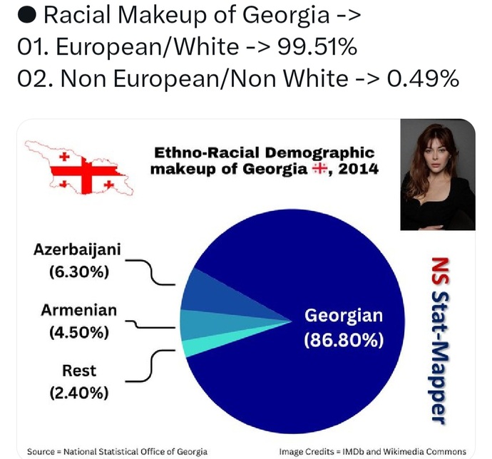 racial makeup georgia country