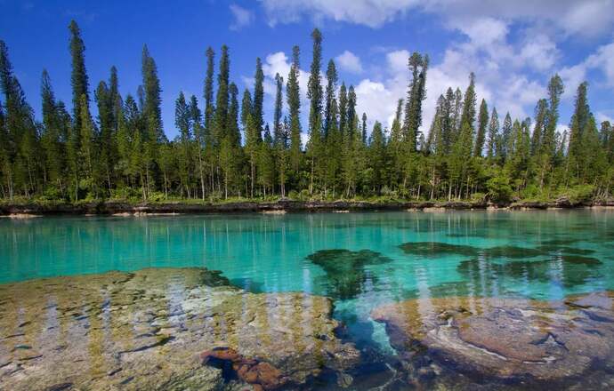 If money was no object, what would be your ideal dream vacation?