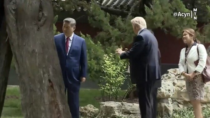 Did China’s president brutally humiliate Trump with that ancient trees comment?