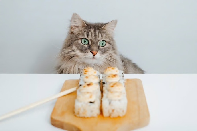 What was the last thing you ate?