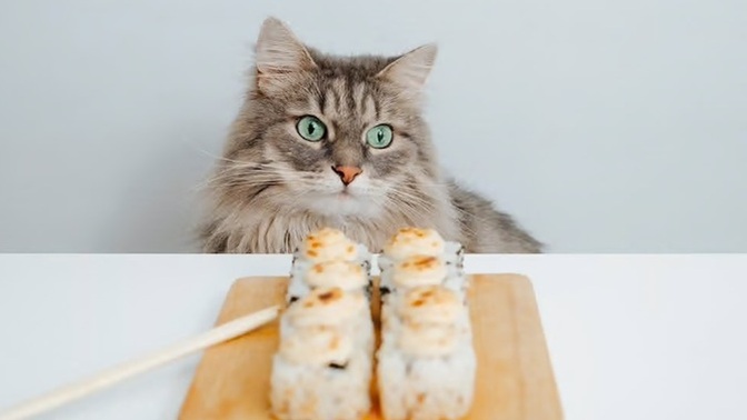 What was the last thing you ate?